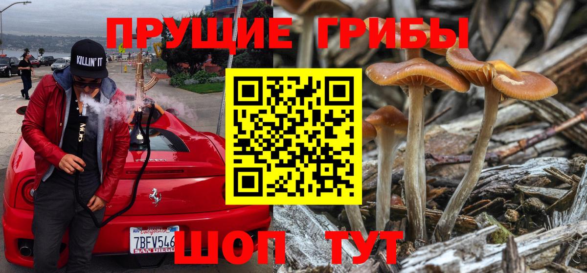 Ревда  Псилоцибиновые грибы Psilocybe  Галлюциногенные грибы Magic Shrooms  Вход с VPN 